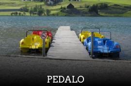 pedalo